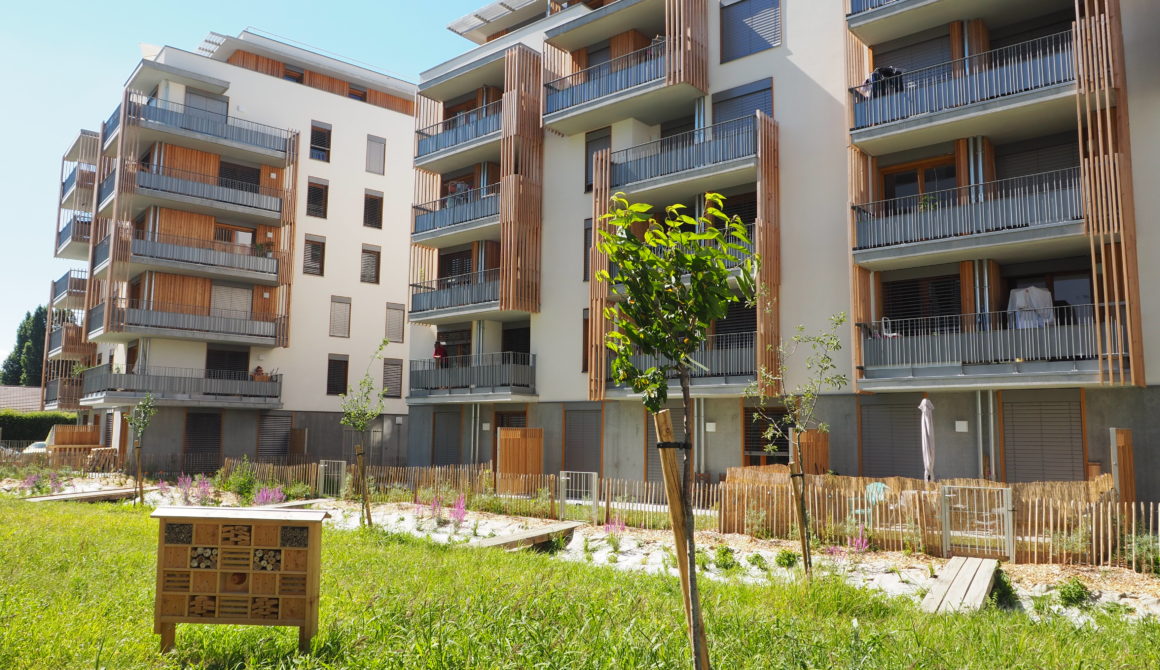 image habitatparticipatifhautesavoie.jpg (0.2MB)